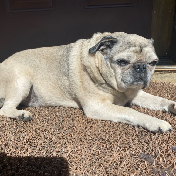 Meet your Posher, Lance - Picture 6 of 11